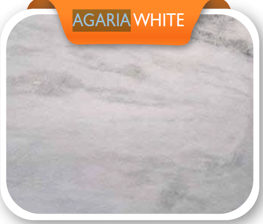 Agaria White Marble